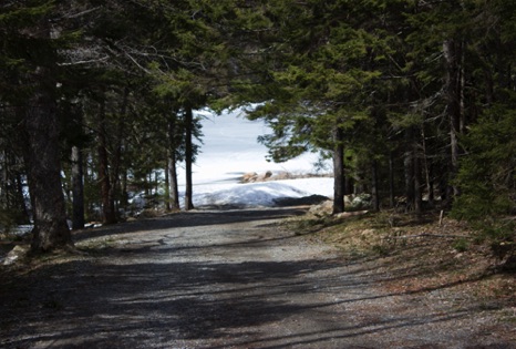 Jordon Pond Path - NHP122